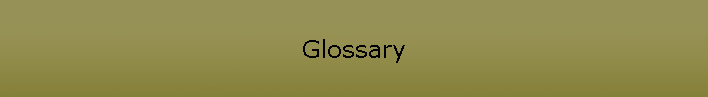 Glossary