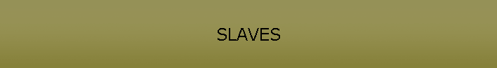 SLAVES